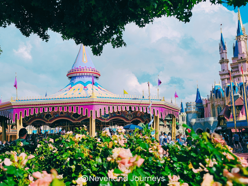 disney world rules