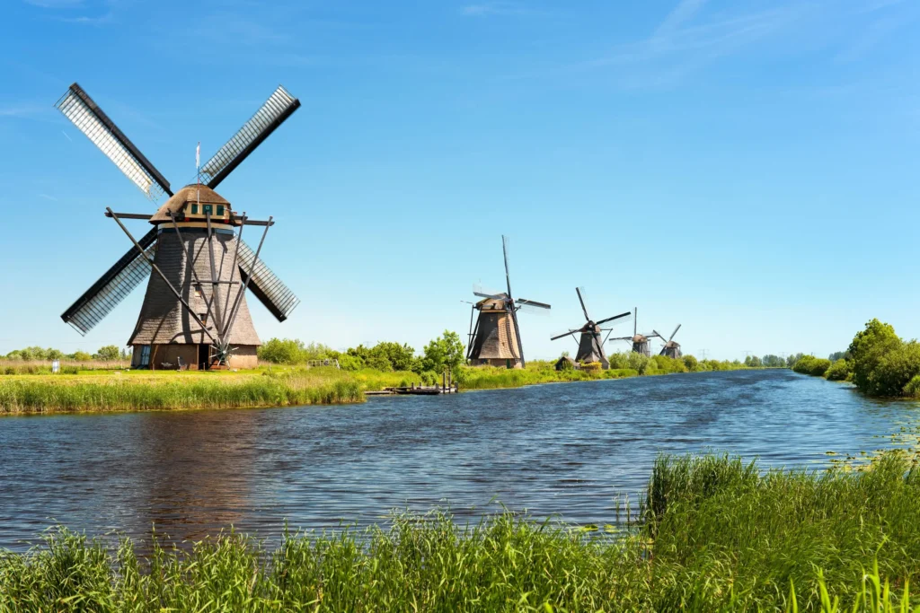 disney news weekly windmill