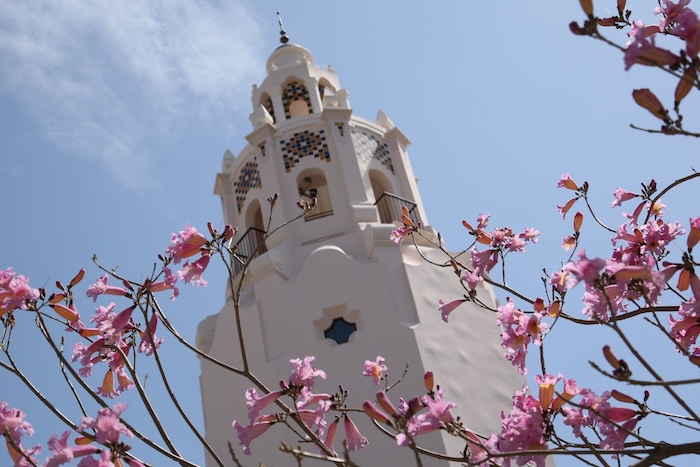 where to eat at disneyland california adventure park
